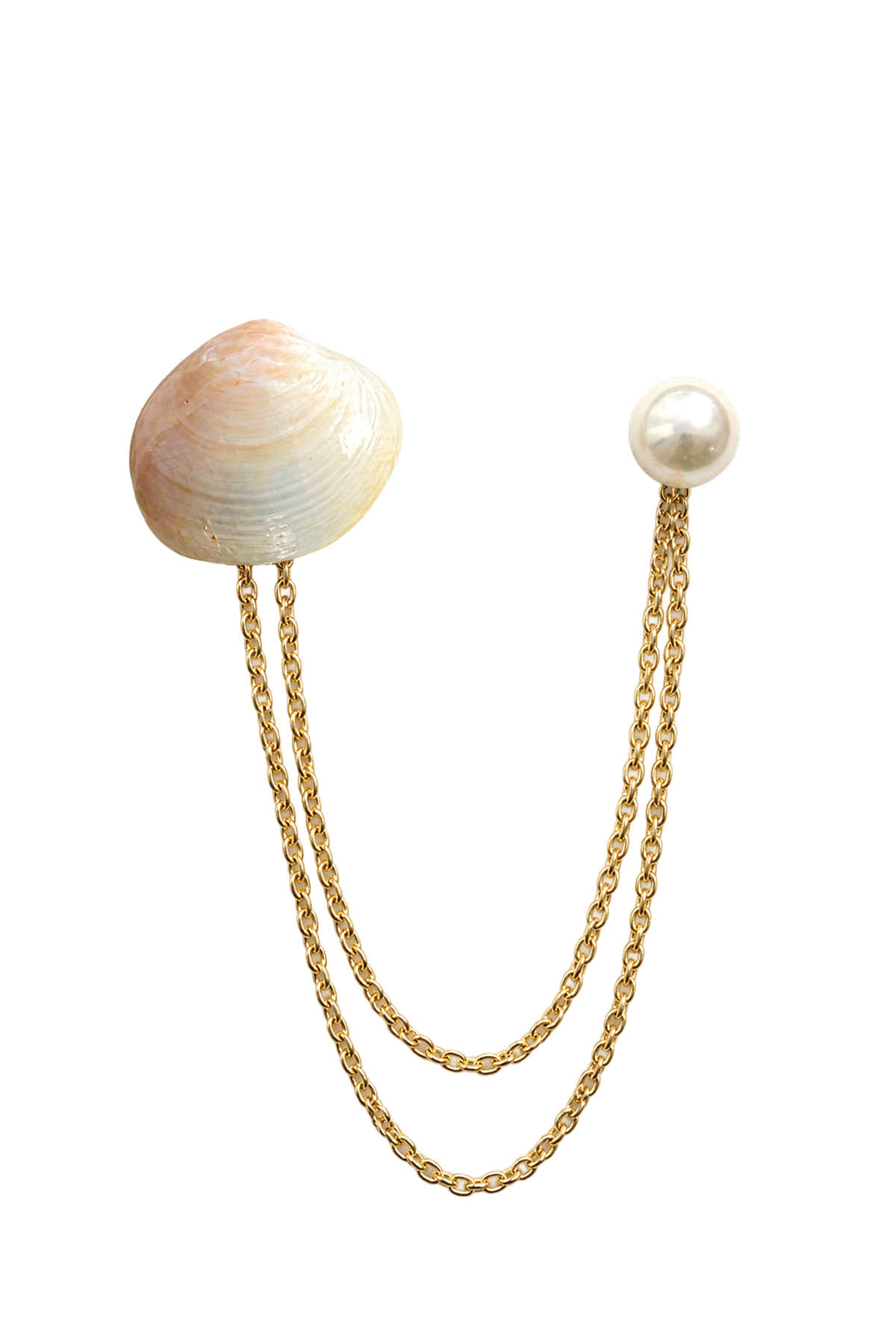 Dana pale shell front view